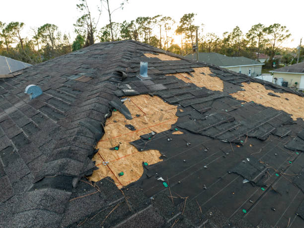 Best Roof Moss and Algae Removal  in Bethany, IL